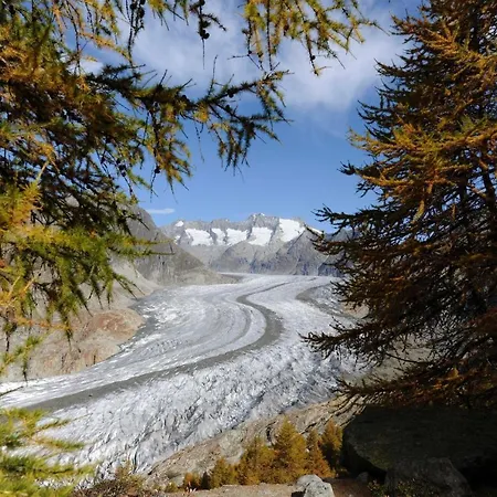 Romatika 2 Апартаменты