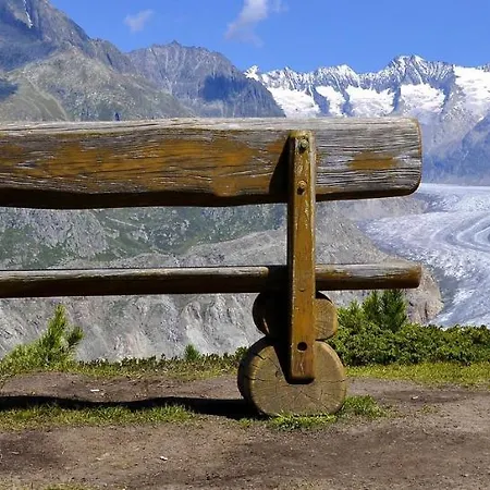 Romatika 2 Διαμέρισμα Fiesch